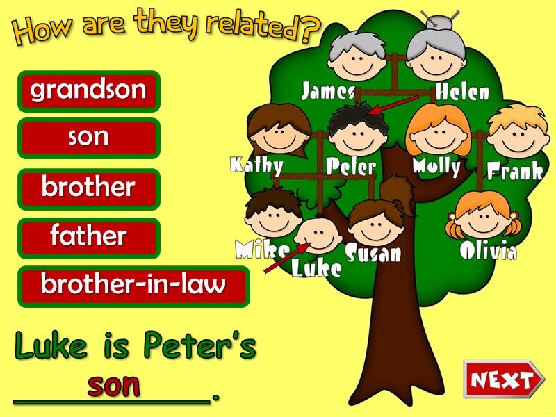 Luke is Peter’s _________. grandson son brother father brother-in-law son